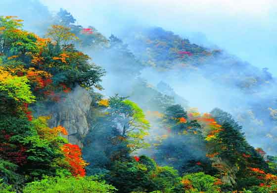 東拉山大峽谷